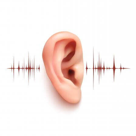 听力好的人更加长寿！