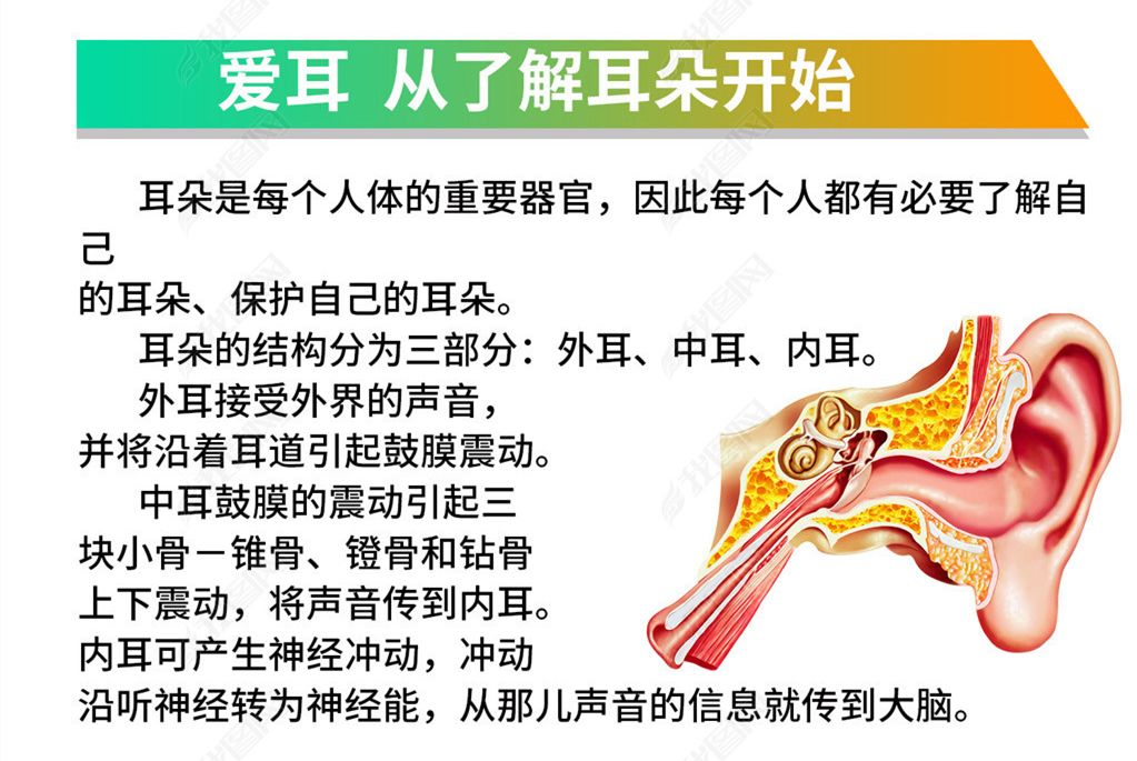 听力下降真的会变傻吗？(图2)